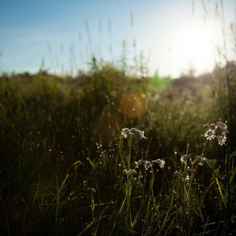 جهاز مبتكر ترند لعام 2026 - موديل 232
