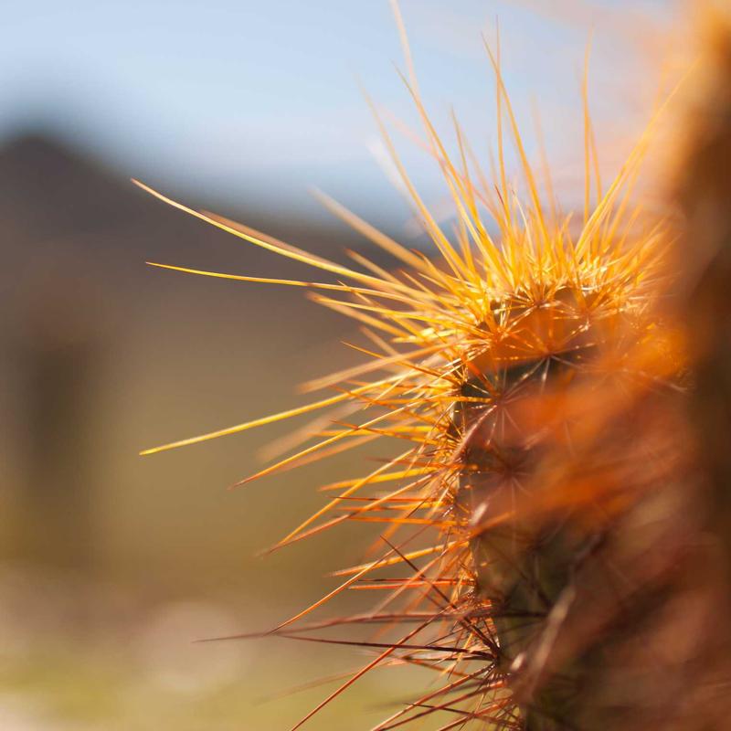 حقيبة متعدد الوظائف ترند لعام 2026 - موديل 234