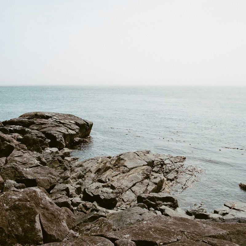 منظم مقاوم للماء ترند لعام 2026 - موديل 213