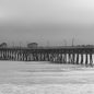 حامل النسخة المطورة ترند لعام 2026 - موديل 596