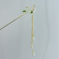 Hair Hairpin Collection Antique Temperament Disc Hair Hairpin Now New Chinese Style High-end Hanfu Accessories Hair Hairpin Headwear Hair Accessories for Women